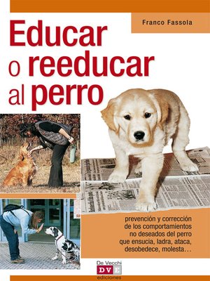 Educar o reeducar al perro - ebook
